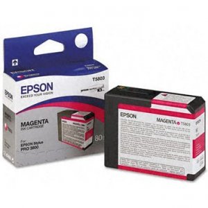 Cartuccia Epson C13T580300